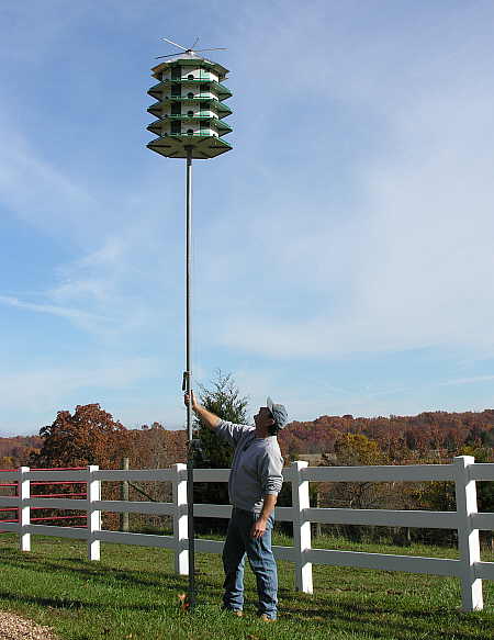 Purple martin deals house pole